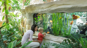 CenterParcs